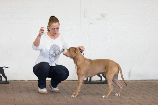 Cs3Q0042 16057633291 O