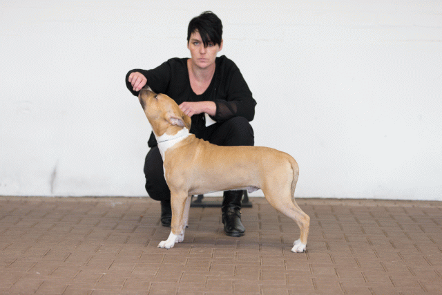 Cs3Q0044 16033808436 O