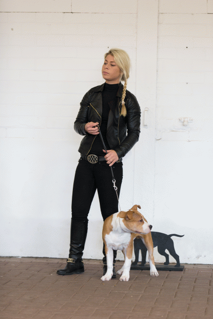 Cs3Q0054 15873514059 O