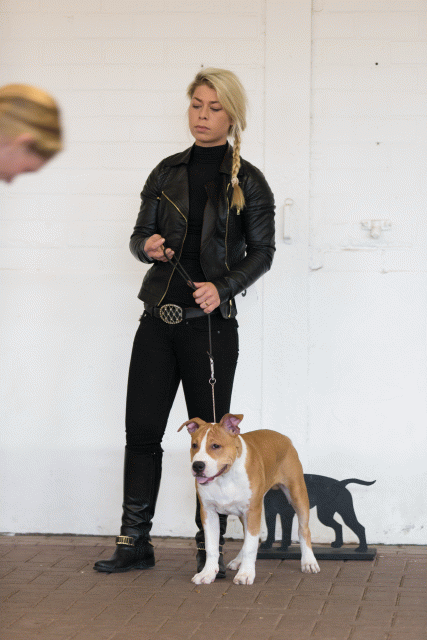 Cs3Q0055 15873513489 O