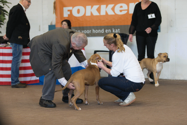 Cs3Q0057 15872300870 O