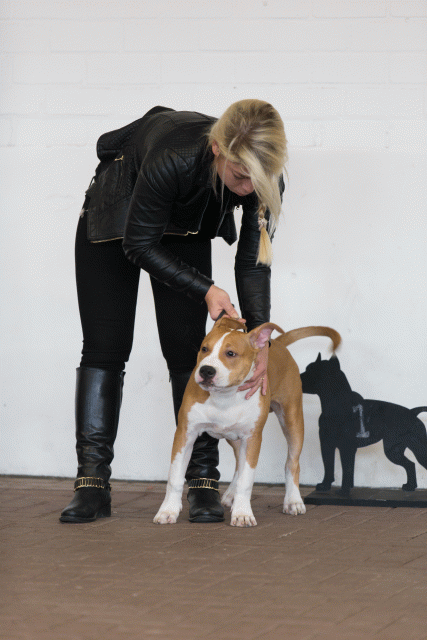 Cs3Q0058 16058881302 O