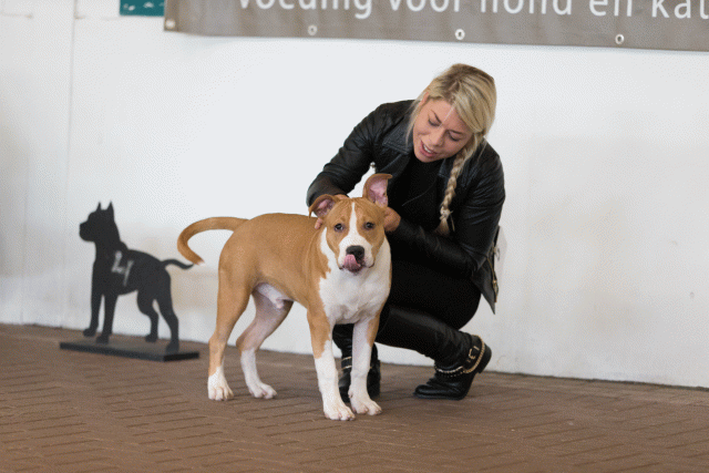 Cs3Q0065 15439922313 O