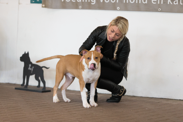 Cs3Q0066 15873510399 O