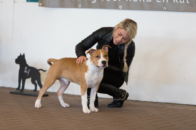 Cs3Q0067 16033800886 O