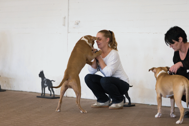 Cs3Q0068 15872297210 O