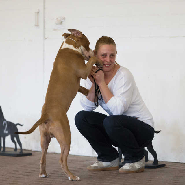 Cs3Q0069 16059586645 O