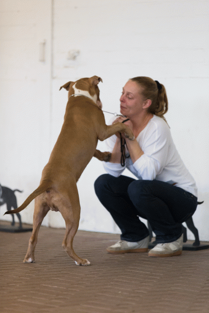 Cs3Q0070 15437283384 O