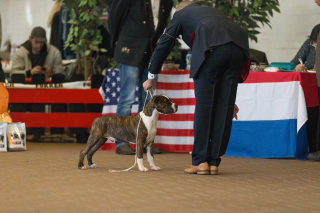 Cs3Q0072 15439917763 O