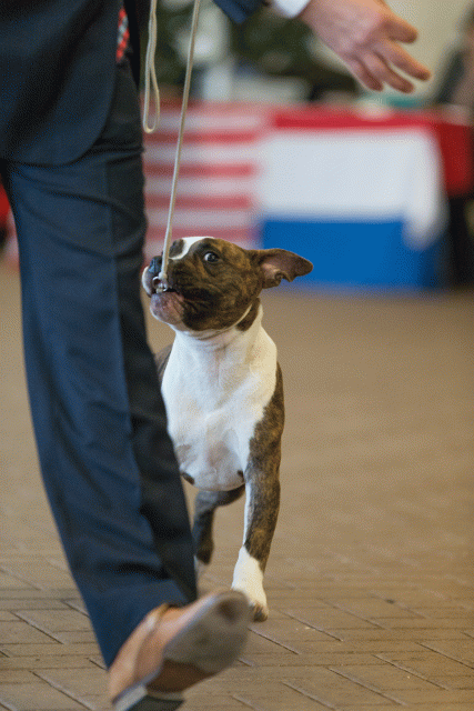 Cs3Q0077 16033796436 O