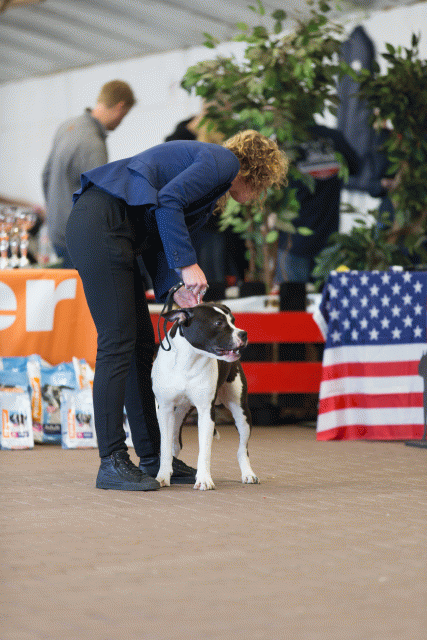 Cs3Q0081 15873805277 O