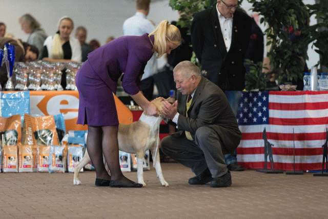 Cs3Q0091 16057615891 O