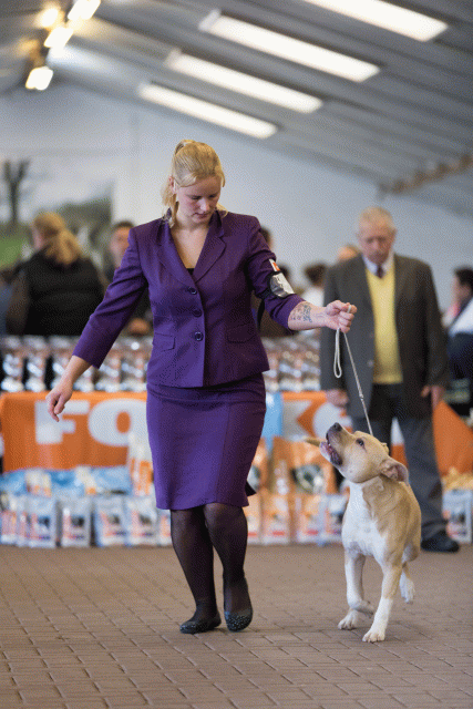 Cs3Q0095 16033790446 O