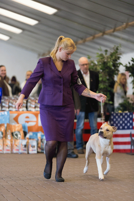 Cs3Q0099 15873800127 O