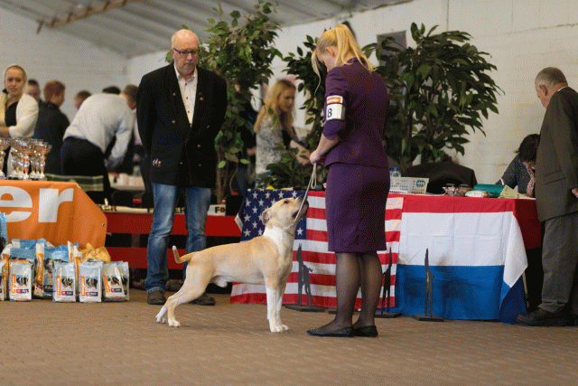 Cs3Q0103 15872286520 O