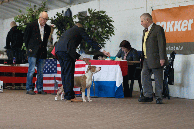 Cs3Q0105 15872285520 O