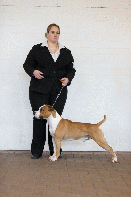 Cs3Q0110 15873495839 O