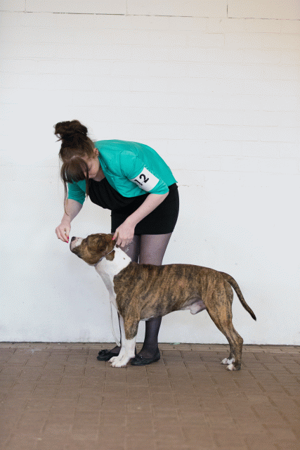 Cs3Q0113 15437269584 O