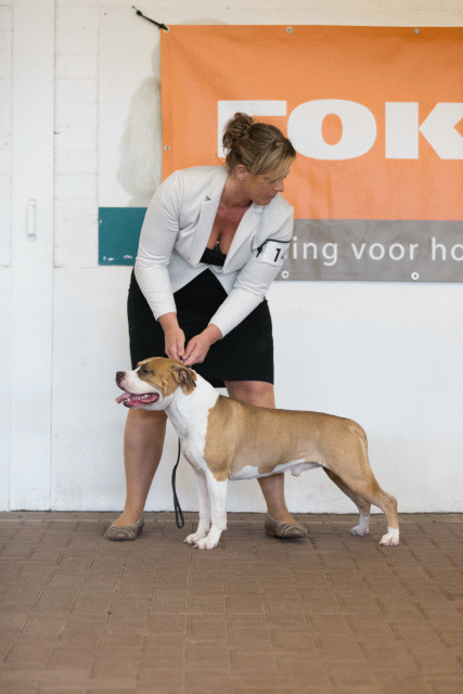 Cs3Q0115 16059571345 O