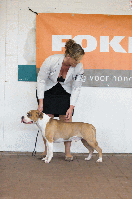 Cs3Q0117 15439902183 O