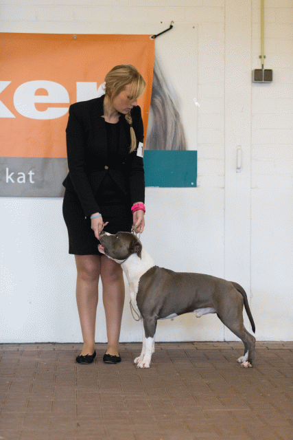 Cs3Q0118 15873791637 O