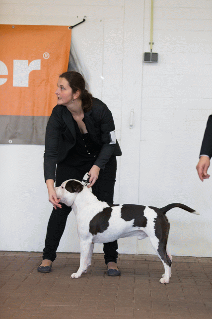 Cs3Q0120 16033779386 O