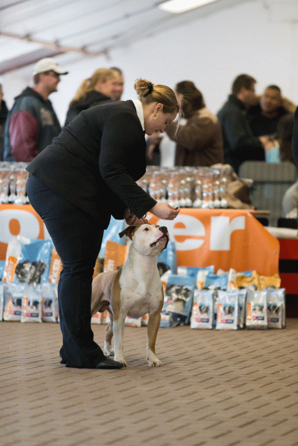 Cs3Q0121 15872107308 O