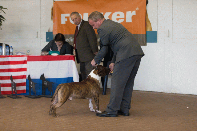 Cs3Q0128 15437263544 O