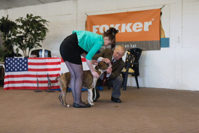 Cs3Q0137 16059566225 O