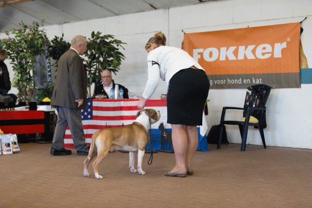 Cs3Q0147 15873483529 O