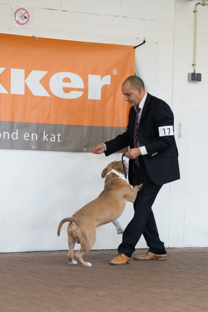 Cs3Q0154 15873782927 O