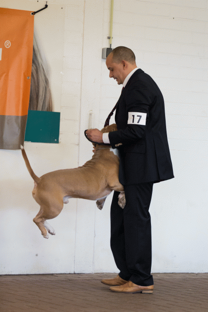 Cs3Q0155 15873782527 O