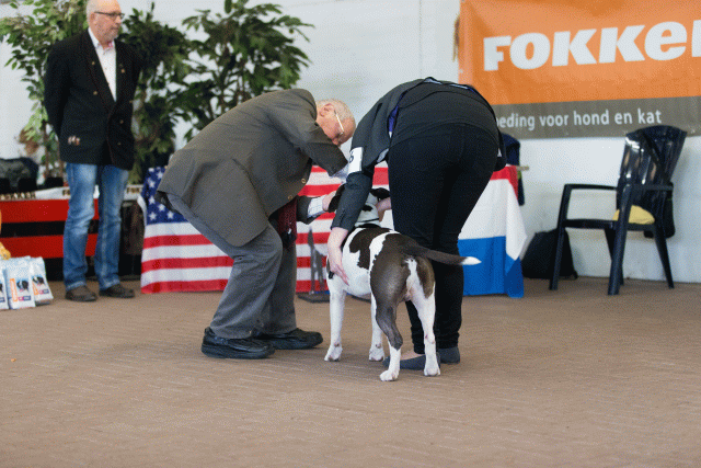 Cs3Q0166 15437255974 O