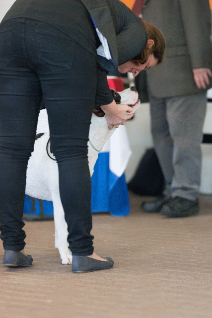 Cs3Q0167 16059558225 O