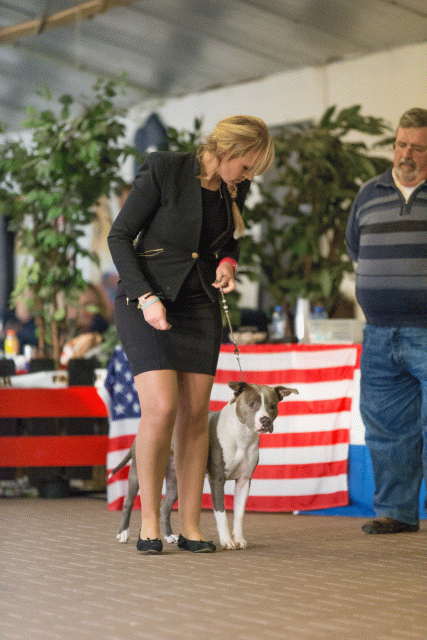 Cs3Q0654 16033629576 O