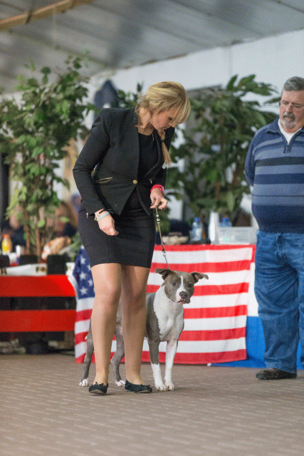 Cs3Q0655 15437117104 O