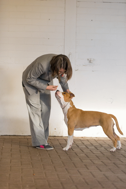 Cs3Q0660 15873638177 O