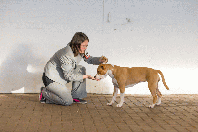 Cs3Q0661 15871953918 O