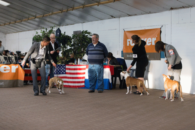 Cs3Q0670 15439743353 O