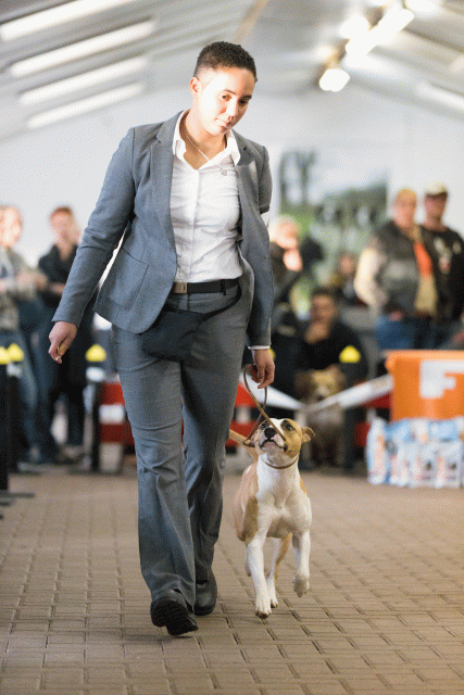 Cs3Q0673 16059410865 O