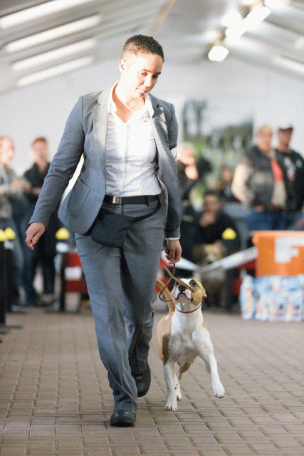 Cs3Q0674 16033620936 O