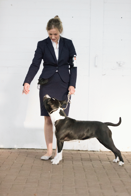 Cs3Q0675 16059409195 O