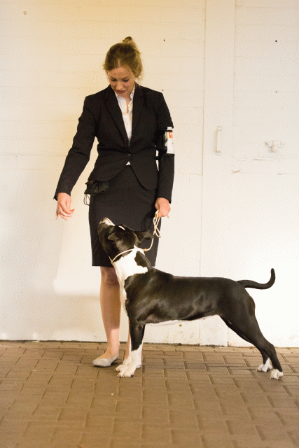 Cs3Q0676 15873328379 O