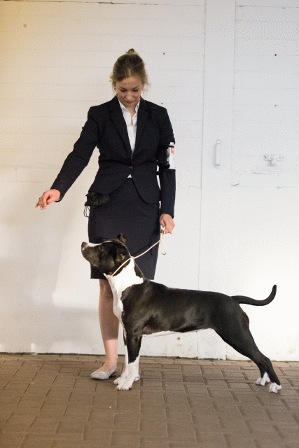 Cs3Q0677 15873631987 O