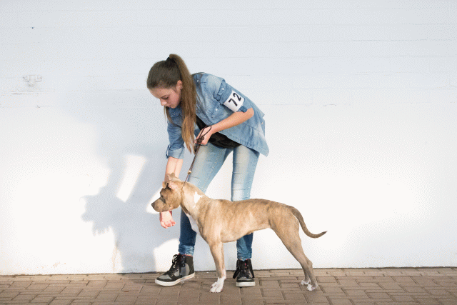 Cs3Q0678 15871948058 O