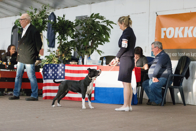 Cs3Q0688 15437105294 O