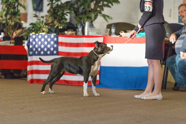 Cs3Q0690 15873324539 O