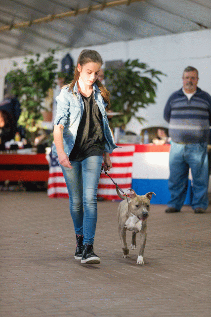 Cs3Q0699 15873323029 O