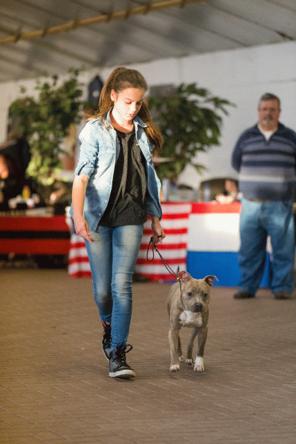 Cs3Q0700 16033613176 O