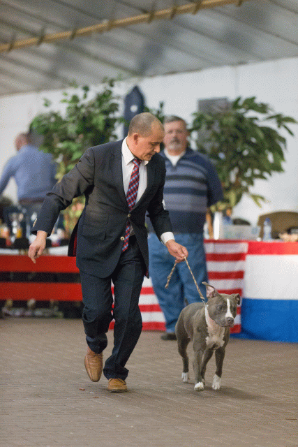 Cs3Q0705 16058689982 O